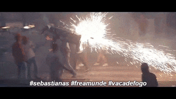 sebastianas freamunde sebastianas vaca de fogo GIF