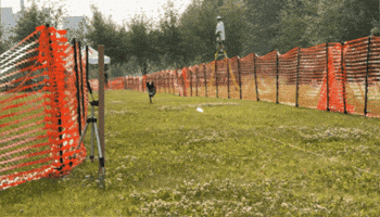 Tananavalleykennelclub GIF by TVKC
