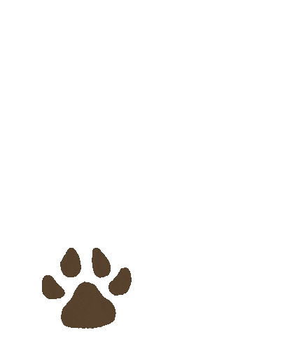 Dog Paws Sticker