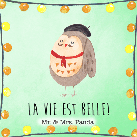 La Vie Est Belle Owl GIF by Mr. & Mrs. Panda