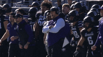 Big Ten Football GIF by Northwestern Athletics