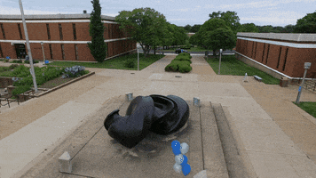 Art Summer GIF by St. Louis Community College