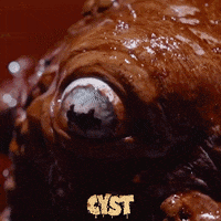 Horror Movie GIF by Raven Banner Entertainment