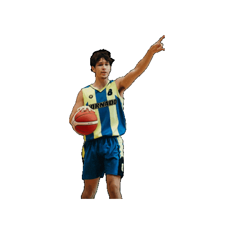 TornadoBasketball Sticker