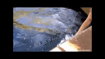 marinebenoit  GIF