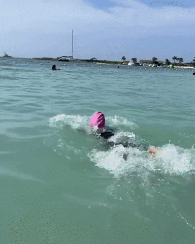 Beach Swimming GIF