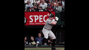 Yankees GIF