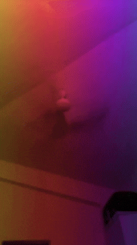 Fan GIF