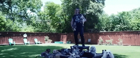 Punk Rock Dogs GIF by Fat Wreck Chords