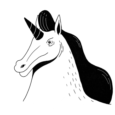 mathscosta unicorn unicornio GIF