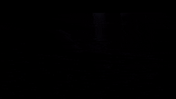 Shadowuprise GIF