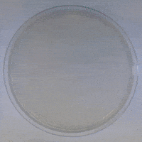 ishihara-test-hQLgB71QLM0KyEWG0h