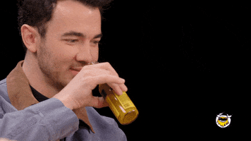 Jonas Brothers Wings GIF by First We Feast: Hot Ones