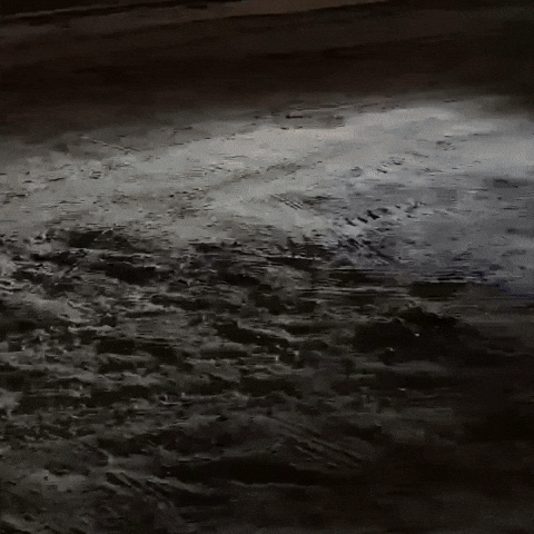 Ford Crown Vic GIF