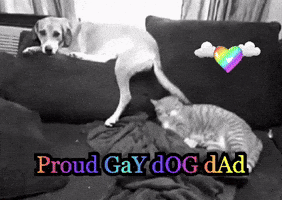Proud Gay Dog Dad GIF