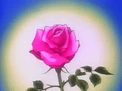 rose petals GIF