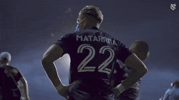 Major League Soccer Mls GIF by NYCFC