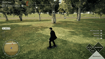 Deadly Premonition Skate GIF by White Owls Inc