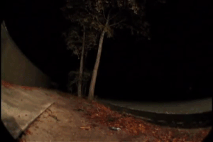 ignacioarenasrebolledo  GIF