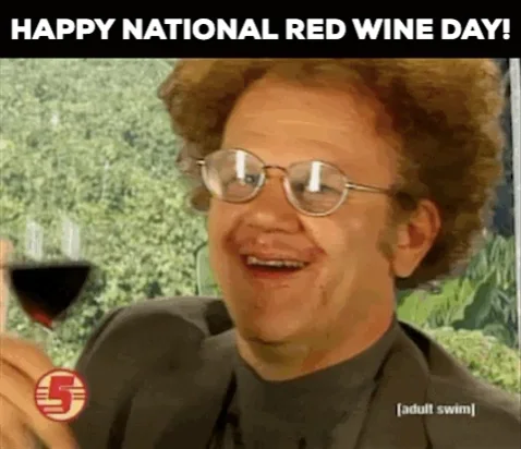 Drinking Wine Funny Holiday GIF