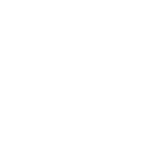 Tasmanian Dance Expo Sticker