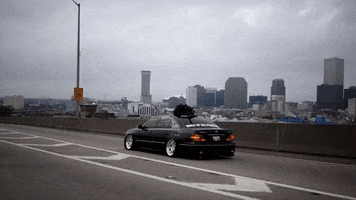 New Orleans Art GIF by Curated Stance!