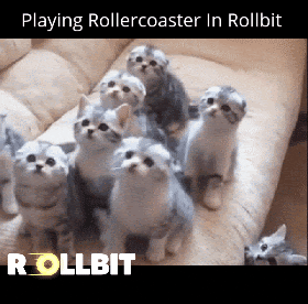 Rollercoaster GIF