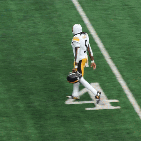 Excited Celebration GIF by Pittsburgh Steelers