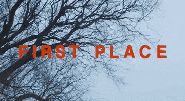 First Place GIF by bülow