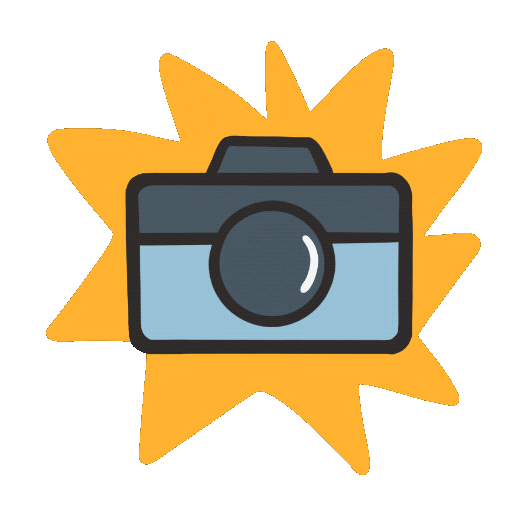 Camera Flash Animation Gif