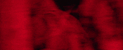 GIF by Oggi