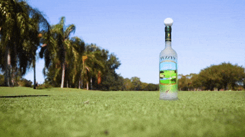 Fuzzy's Vodka GIF
