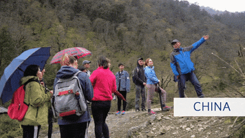 Study Abroad Midd GIF by Middlebury