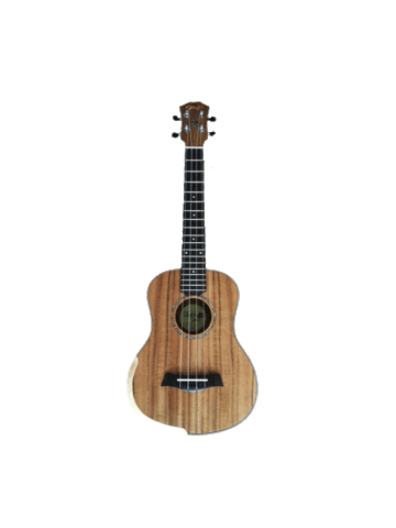 Curso de Ukulele Online Sticker