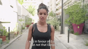 France Europe GIF by guardian