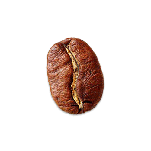 The Coffee Bean Logo GIFs Get the best GIF on GIPHY