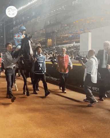 Sport Celebration GIF by World Horse Racing