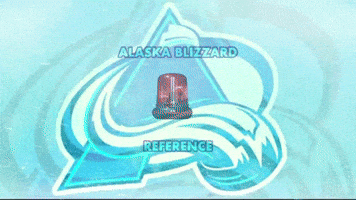 Blizzard GIF