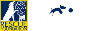 Lost Dog Sticker by Lost Dog and Cat Rescue Foundation