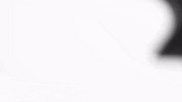 Gandini Race GIF