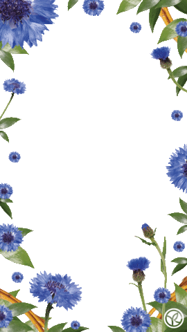 Flower Frame Sticker