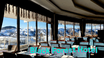 BlackForestHotel hotel motel otel hamam GIF