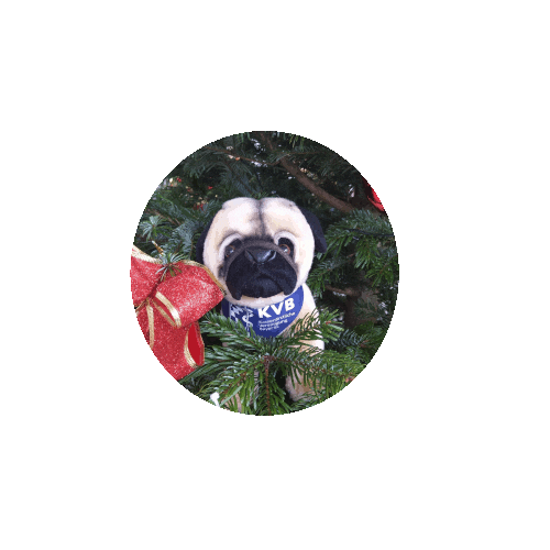 Christmas Sticker by SandraLegreiss