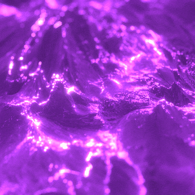 Xponentialdesign Gif Find Share On Giphy