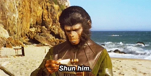 planet of the apes chimpanzees GIF