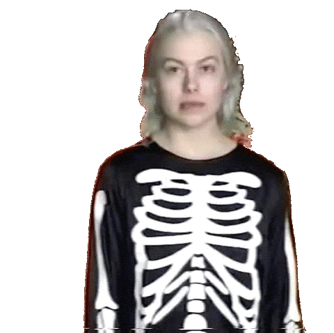 Phoebebridgers Sticker by End of an Ear