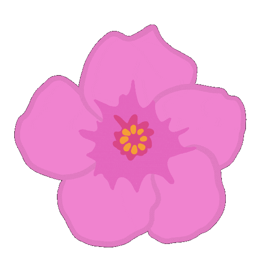 Visitkorea Sticker by Imagine_your_Korea