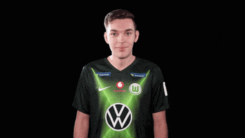 E Sports Sport GIF by VfL Wolfsburg