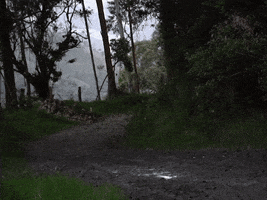 Chevrolet Colombia GIF