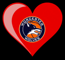 Basketball Love GIF by Worcester Wolves